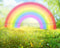 Kate Arc-en-ciel Prairie Été Vert Jaune Toile de fond conçue par Chrissie Green - Kate Backdrop FR