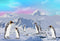Kate Montagne Neige Blanc Manchot Toile de fond conçue par Chain Photographie - Kate Backdrop FR