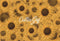 Kate Fleur symphonique Tournesol Jaune Toile de fond conçue par Modest Brushes - Kate Backdrop FR