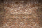 Kate mur de briques rouges vintage pour la photographie - Kate Backdrop FR
