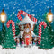 Kate Hiver Noël Maison de pain d'épice Neige Toile de fond conçu par Emetselch - Kate Backdrop FR