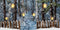 Kate Peinture à l'huile Neige Hiver Toile de fond conçue par Chain Photography - Kate Backdrop FR
