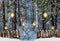 Kate Peinture à l'huile Neige Hiver Toile de fond conçue par Chain Photography - Kate Backdrop FR