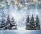 Kate Flocon de neige Forêt Hiver Arbres Toile de fond pour la photographie - Kate Backdrop FR
