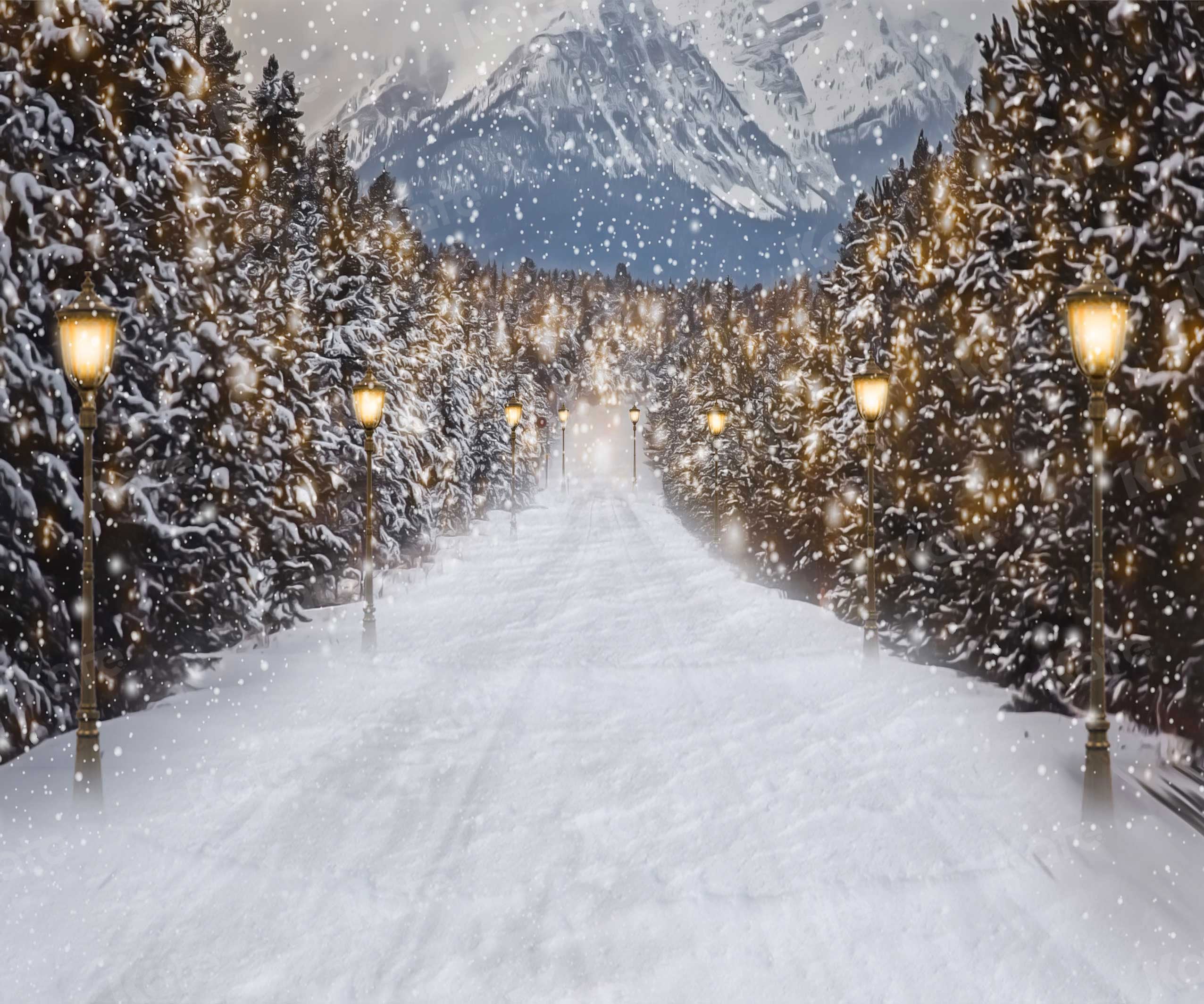 Kate Route de toile de fond de scène de neige d'hiver pour la photographie