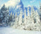 Kate Forêt Scène Neige Hiver Toile de fond conçue par GQ - Kate Backdrop FR