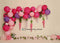 Kate Fleurs Ballon Rose Violet Anniversaire Toile de fond conçue par melissa king - Kate Backdrop FR