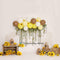 Kate Ballon Cake smash Tournesols Été Toile de fond conçu par Melissa King - Kate Backdrop FR