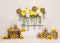 Kate Ballon Cake smash Tournesols Été Toile de fond conçu par Melissa King - Kate Backdrop FR