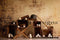 Fond de baseball Kate Sports conçu par Keerstan Jessop - Kate Backdrop FR