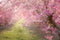 Kate Fleurs roses Printemps Toile de fond conçue par Lisa Granden - Kate Backdrop FR