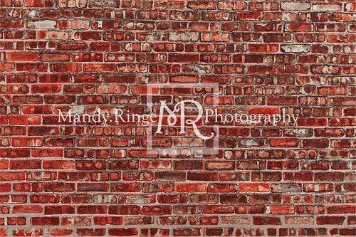 Katebackdrop£ºKate Red Valentine's Day Brick Backdrop Designed By Mandy Ringe Photography