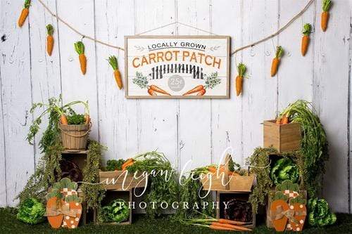 Katebackdrop£ºKate Carrot Patch Easter Backdrop Designed by Megan Leigh Photography