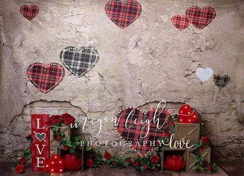 Katebackdrop鎷㈡綖Kate Valentine's Day Brick Wall Backdrop Designed by Megan Leigh Photography