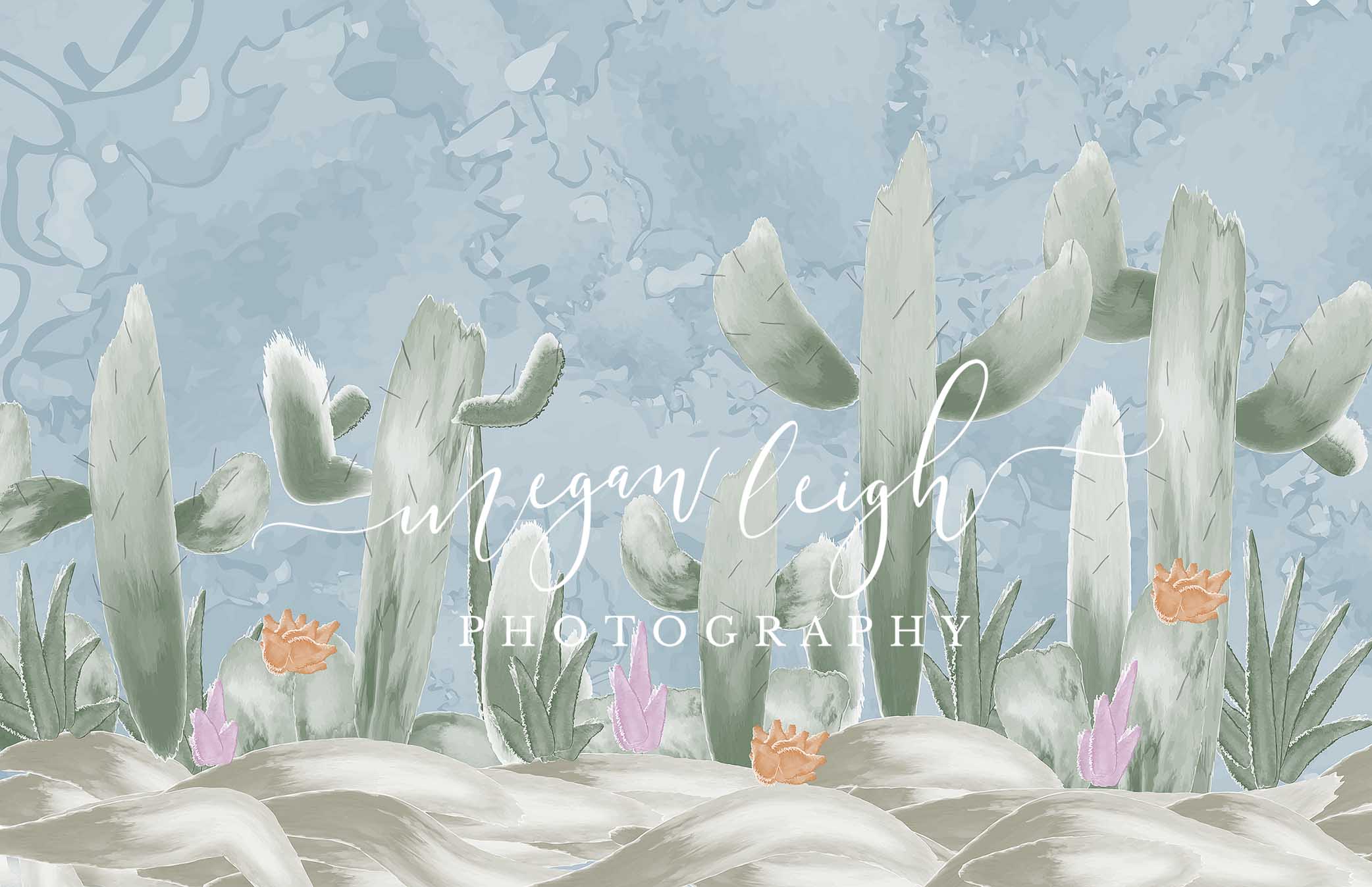 Cactus Spring Children Backdrop