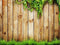Katebackdrop£ºKate Spring Wooden Backdrop for Easter/Wedding/Newborn