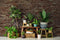 Kate Plantes Printemps Fête des mères Toile de fond conçue par Mandy Ringe Photography - Kate Backdrop FR