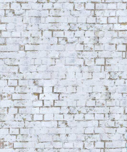 Katebackdrop隆锚oKate Gray Brick backdrop + Gray wood floor mat