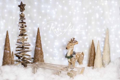 Kate Cerf Décoration lumineuse Noël Bokeh Toile de fond conçu par Rose Abbas