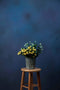 Katebackdrop£ºKate Abstract Texture Dark Tirquise Color Spray Painted Backdrop