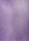 Katebackdrop£ºKate Purple Texture Mottled Spray Painted Backdrop
