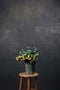 Katebackdrop£ºKate Hand Painted Stone Dark Abstract Texture Backdrops