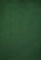Katebackdrop£ºKate Monet Abstract Texture Olive Green Spray Painted Backdrop