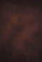 Katebackdrop£ºKate Soft Brown Abstract Texture Spray Hand Painted Backdrop