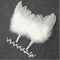Kate Ailes de plumes Ange avec Bandeau pour Bébé Accessoires photo - Kate Backdrop FR