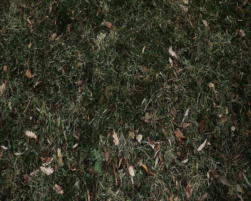 Kate tapis de sol en caoutchouc de feuilles mortes de prairie