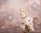 Kate Sweep Mur-à-Sol Kate Roses Fleurs Rétro Beaux-arts Rose Toile de fond pour la photographie - Kate Backdrop FR