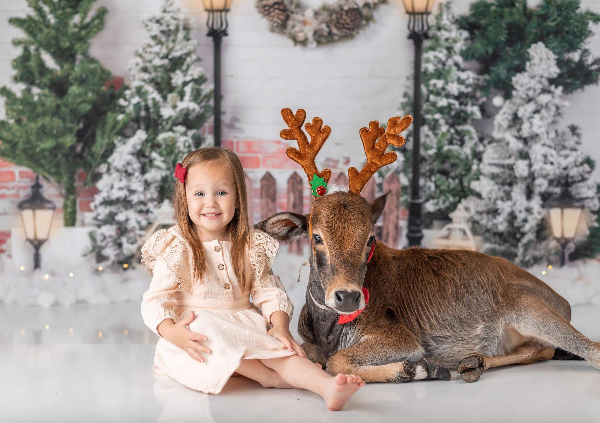 Kate Xmas Jardin de Noël de toile de fond avec des lumières conçu par Emetselch