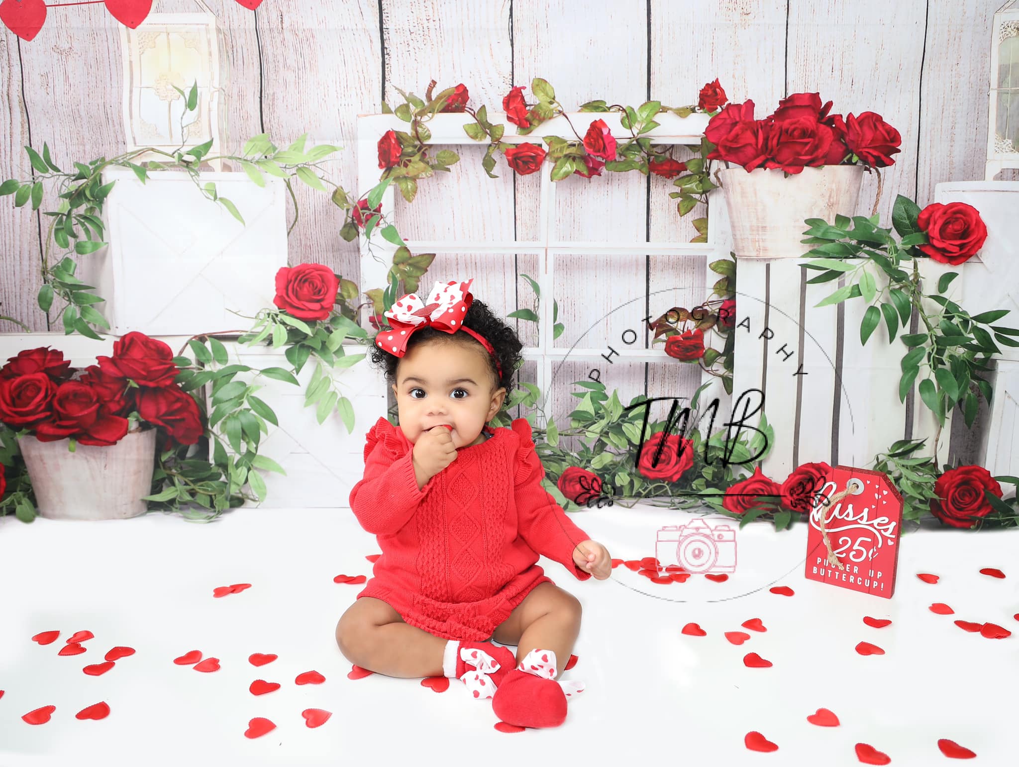 Kate Roses Saint-Valentin Mur en bois Toile de fond conçue par Emetselch - Kate Backdrop FR