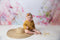 Kate Fleurs roses Beaux-arts Printemps Toile de fond conçue par Chain Photographie - Kate Backdrop FR