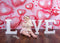 Kate Coeur Amour Rose Saint-Valentin Toile de fond conçue par Emetselch - Kate Backdrop FR