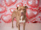Kate Coeur Amour Rose Saint-Valentin Toile de fond conçue par Emetselch - Kate Backdrop FR