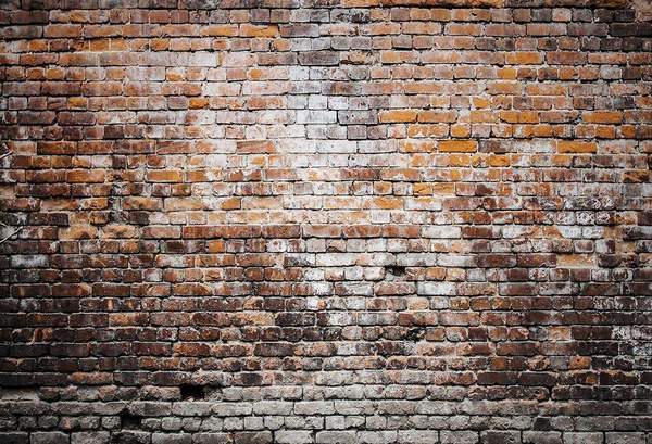 Kate Fond de mur de briques rétro sombre pour les photos