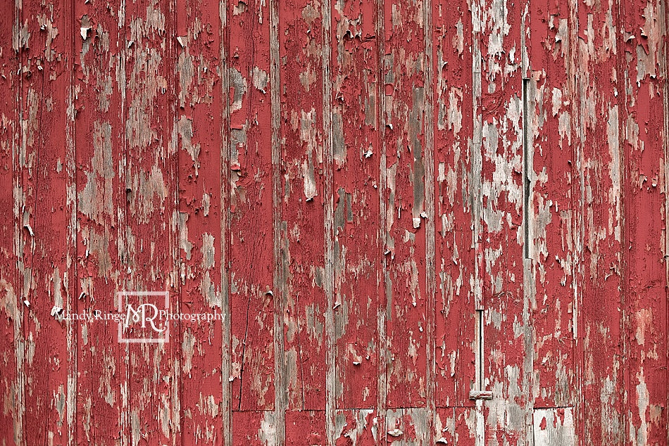 Kate Toile de fond en bois de grange rouge rustique conçue par Mandy Ringe Photographie
