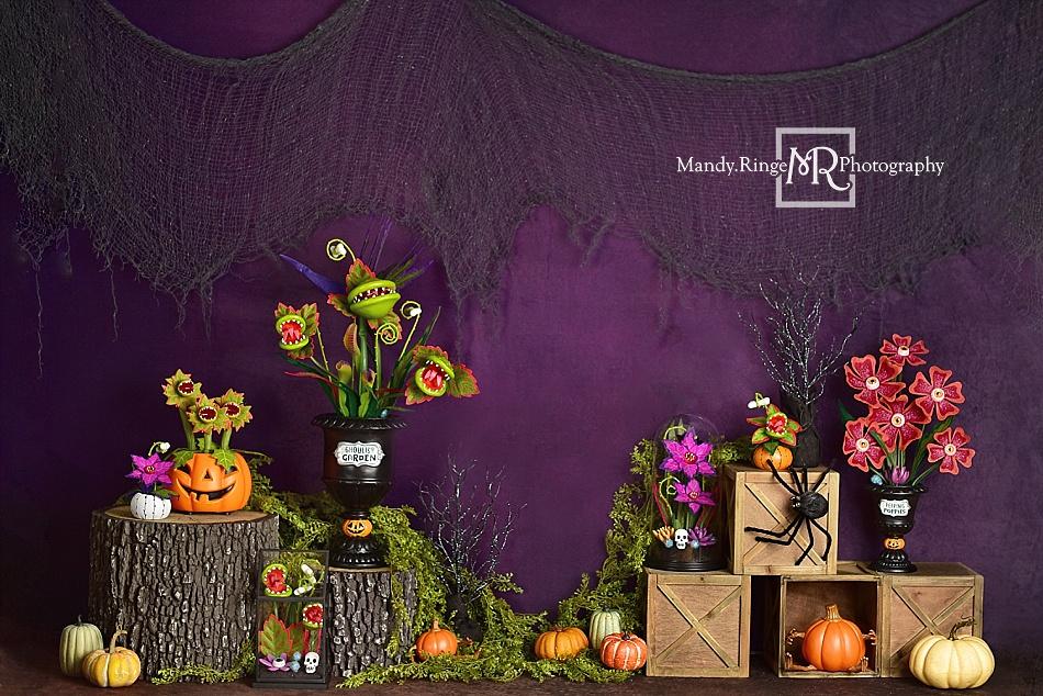 Kate Halloween Jardin effrayant Violet Toile de fond conçue par Mandy Ringe