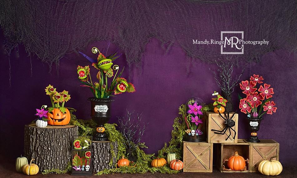 Kate Halloween Jardin effrayant Violet Toile de fond conçue par Mandy Ringe Photographie