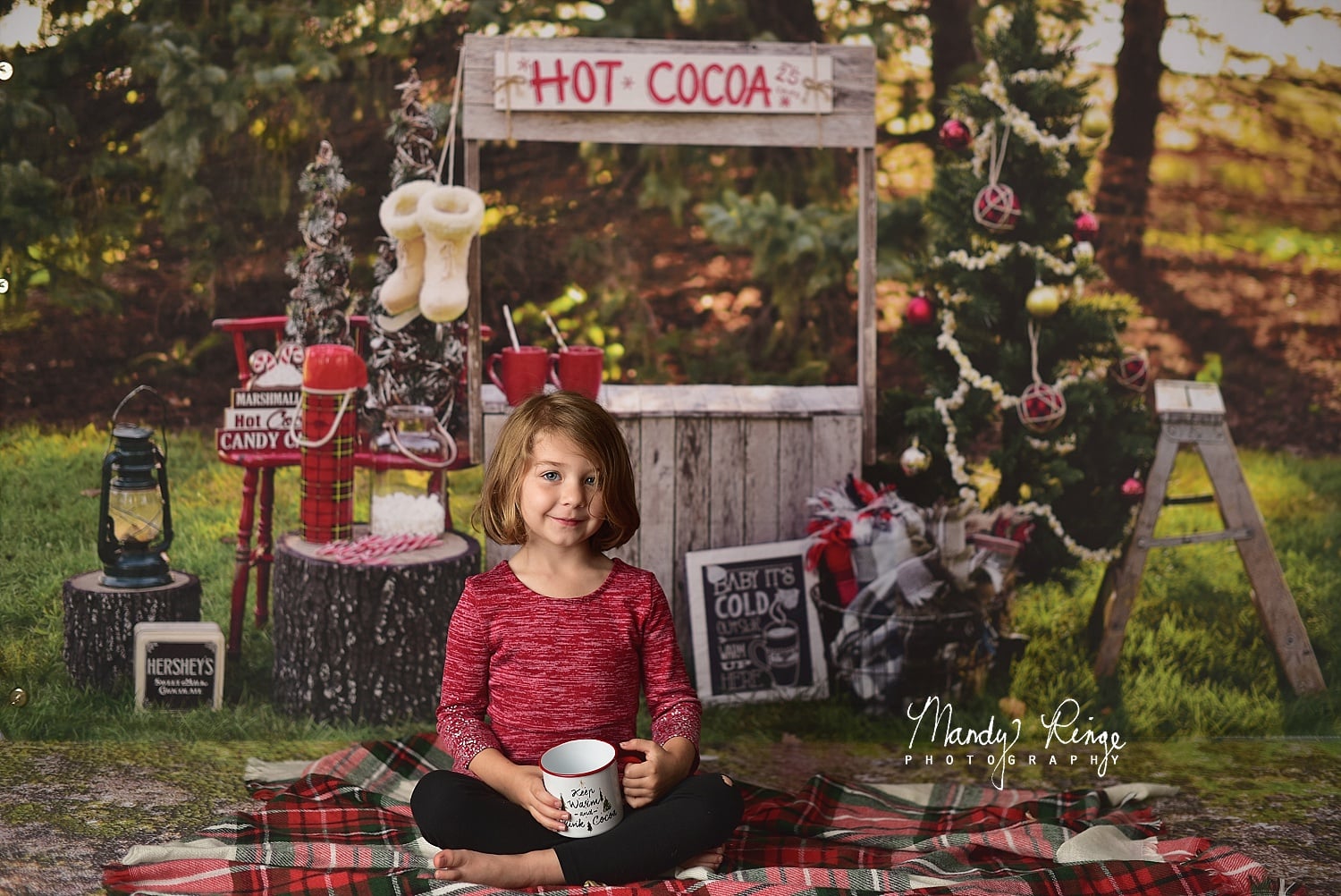 Kate Cacao chaud Extérieur Noël Toile de fond conçue par Mandy Ringe - Kate Backdrop FR