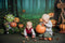 Kate Halloween Forêt Citrouilles Arbres Toile de fond conçue par Chain Photographie - Kate Backdrop FR