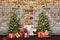 Kate Étagère Cadeau Arbres de Noël Toile de fond conçu par Emetselch - Kate Backdrop FR