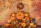 Kate Citrouille Automne Feuille d'érable Toile de fond conçue par Emetselch - Kate Backdrop FR