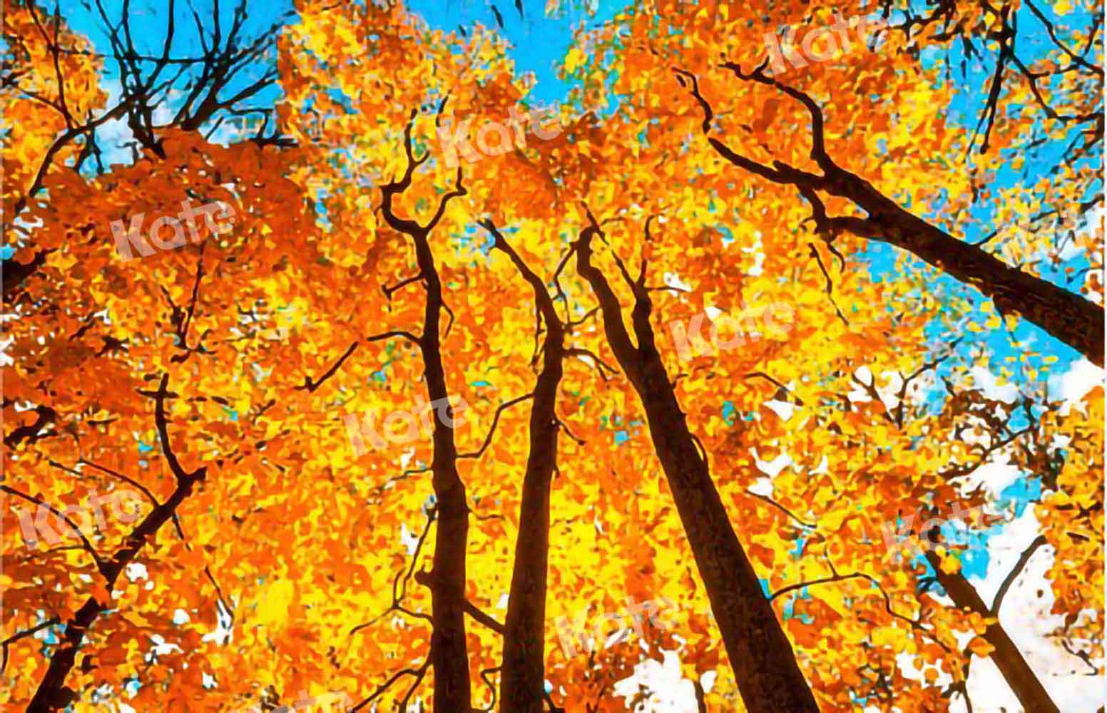 Kate Ciel Forêt Automne Jaune Toile de fond conçu par Chain Photography - Kate Backdrop FR