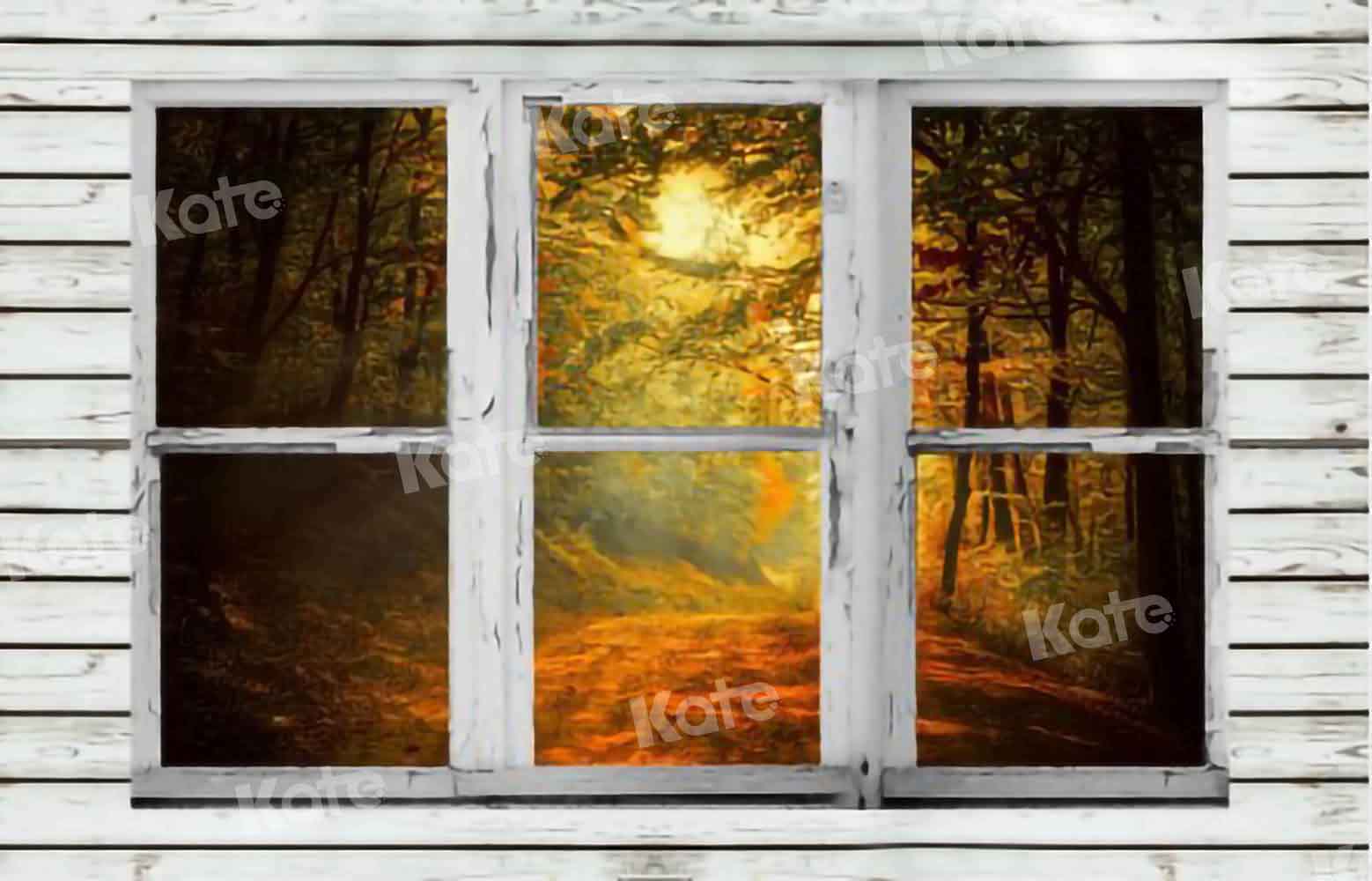 Kate fenêtre de fond de forêt d'automne pour la photographie conçue par Chain Photography