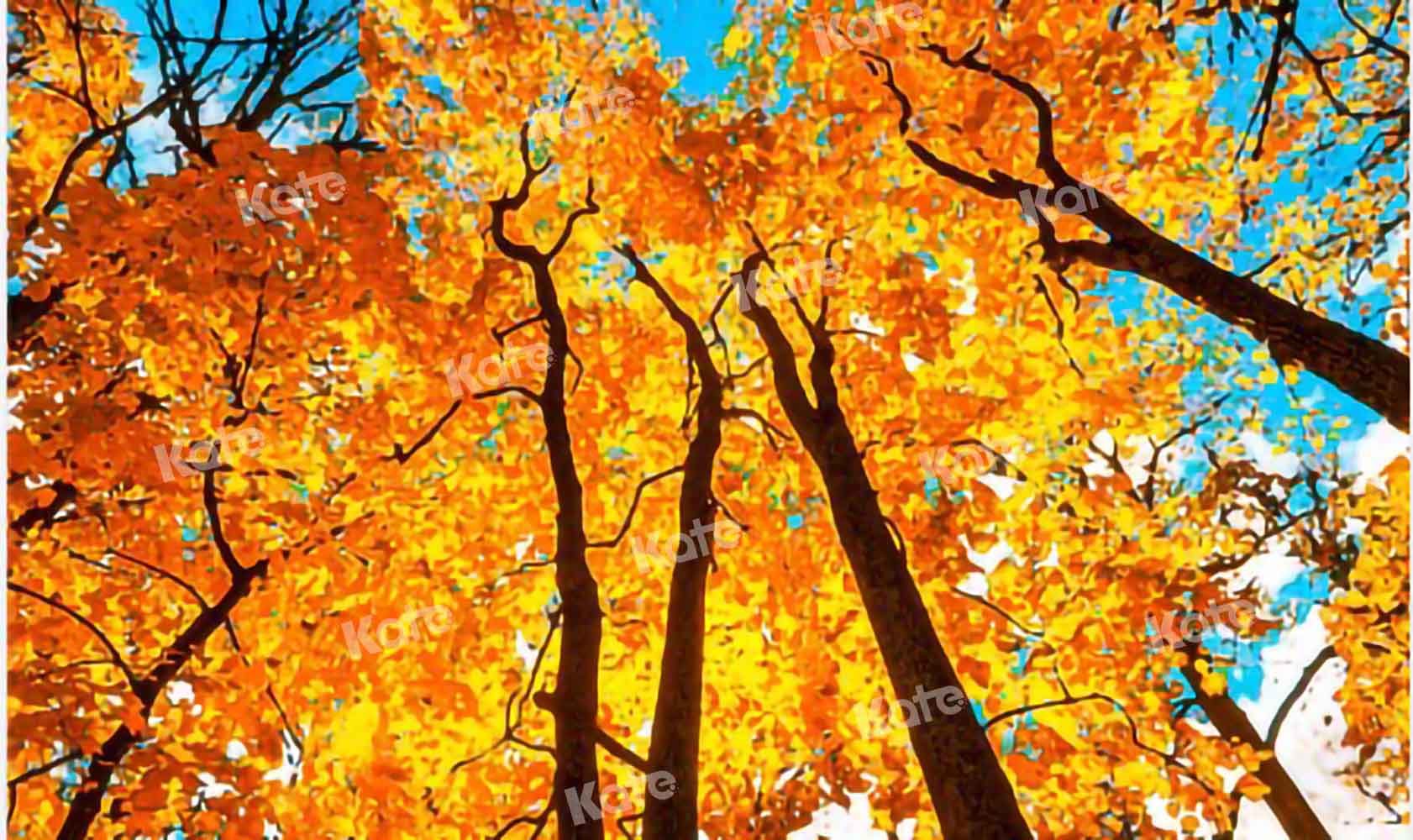 Kate Ciel Forêt Automne Jaune Toile de fond conçu par Chain Photography - Kate Backdrop FR