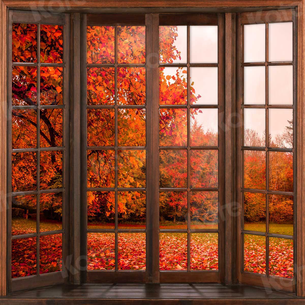 Kate Automne Feuilles à l'extérieur Fenêtre Toile de fond pour la photographie - Kate Backdrop FR