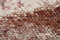Kate mur de briques rouges rétro en toile de fond conçu par Kate image - Kate Backdrop FR