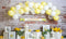 Kate Cake smash Citrons Toile de fond conçu par Megan Leigh - Kate Backdrop FR